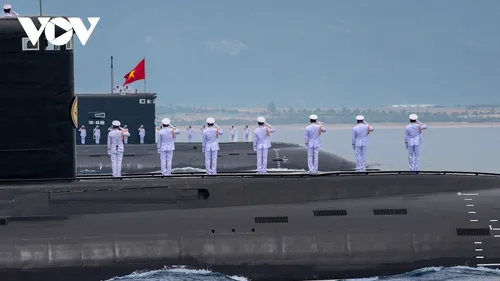 Hải quân Việt Nam phô diễn sức mạnh với Lễ diễu binh trên biển - ảnh 13