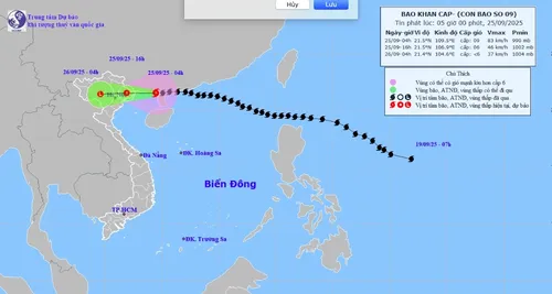 Bão số 9 Ragasa giảm xuống cấp 9, bão mới BUALOI dự kiến sẽ đi vào Biển Đông trong đêm 26/9 - ảnh 1