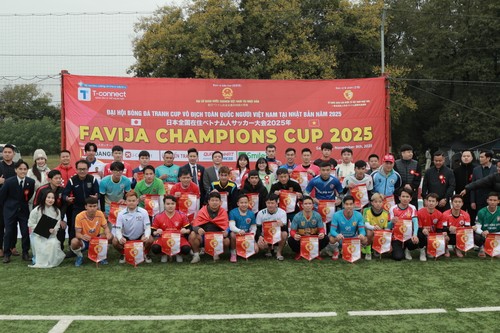  FC T-Connect Bình Định vô địch Giải bóng đá tranh cup toàn quốc người Việt Nam tại Nhật Bản - ảnh 1