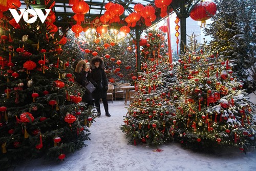 Không khí Tết rộn ràng giữa lòng nước Nga - ảnh 3