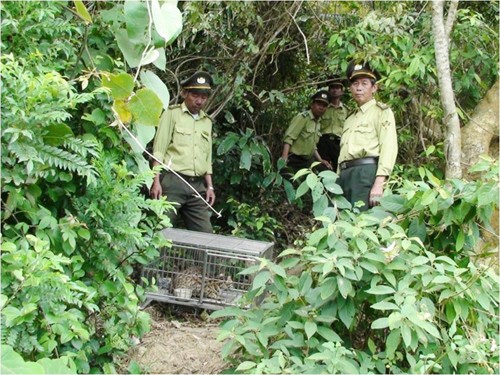 Tuyên truyền trong thanh niên về bảo tồn động vật hoang dã - ảnh 1