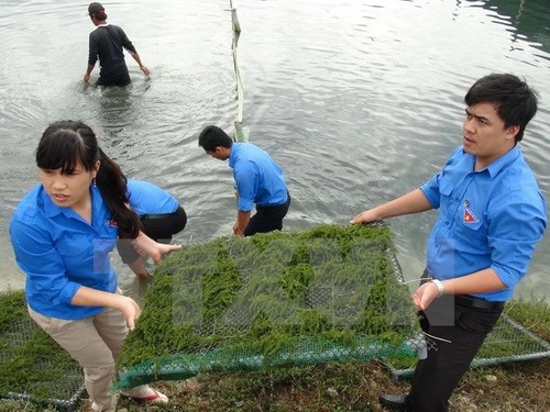 Thanh niên các địa phương Việt Nam và Lào tăng cường giao lưu - ảnh 1