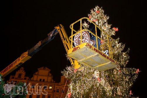 Việt Nam tham gia Hội chợ Giáng sinh quốc tế Praha 2016 - ảnh 1