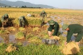 การปรับปรุงเป้าหมายเพื่อประสิทธิภาพในการสร้างสรรค์ชนบทใหม่ - ảnh 3