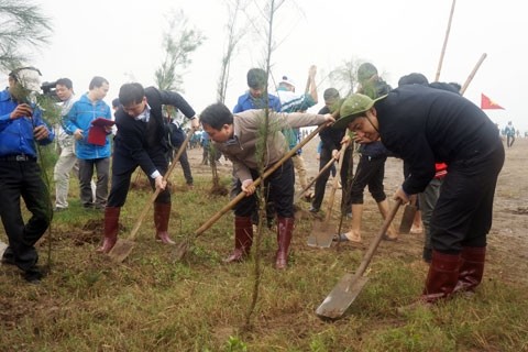 งานเทศกาลปลูกต้นไม้ตามท้องถิ่นต่างๆ - ảnh 1