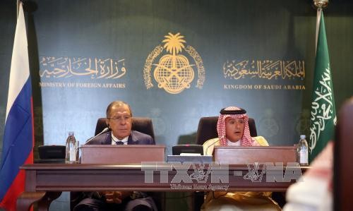 Russia, Saudi Arabia discuss establishing de-escalation zones in Syria - ảnh 1