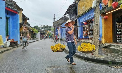 Hoi An bike tour among world's 20 best: Tripadvisor - ảnh 1