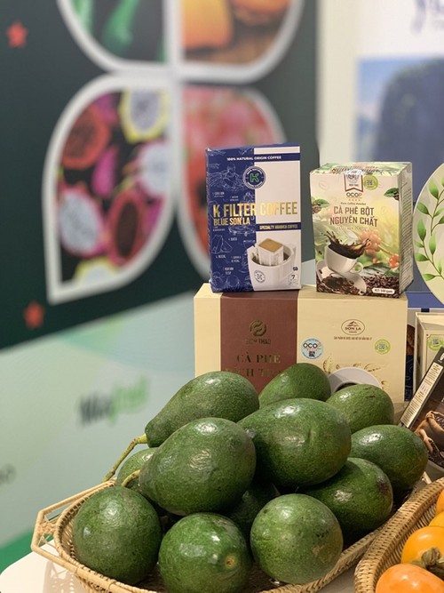 Vietnamese fruits showcased at Macfrut 2021 in Italy - ảnh 4