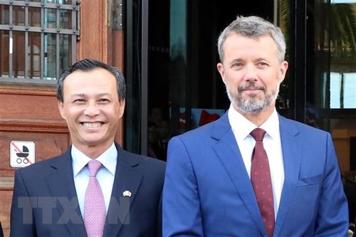 Denmark to expand business and production in Vietnam - ảnh 1