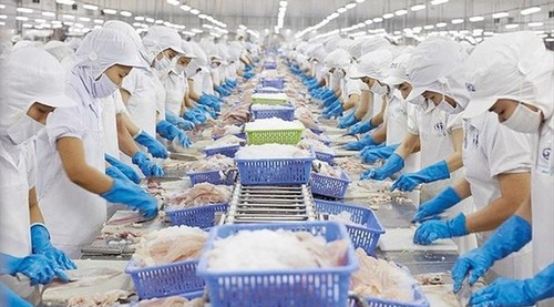 Vietnam named among leading sources of seafood supply for US - ảnh 1