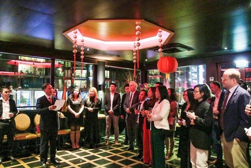 Vietnamese, Dutch firms look to step up business cooperation - ảnh 1