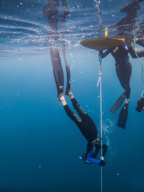 Free diving in Amed, Bali  - ảnh 1