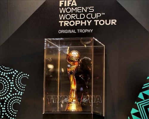 VMG Media owns FIFA Women’s World Cup 2023 media copyright - ảnh 1