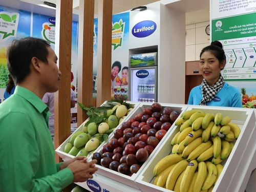 Vietnam records positive economic performance in 8 months - ảnh 1