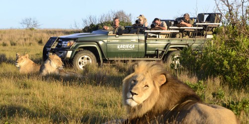 Exploring South Africa - ảnh 3