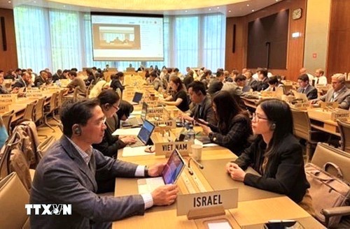 Vietnam attends WTO meetings on trade remedies - ảnh 1