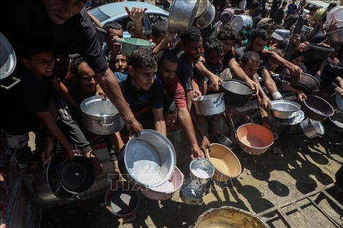 Israel temporarily halts military operations in Gaza, resumes airdrop of aid  - ảnh 1