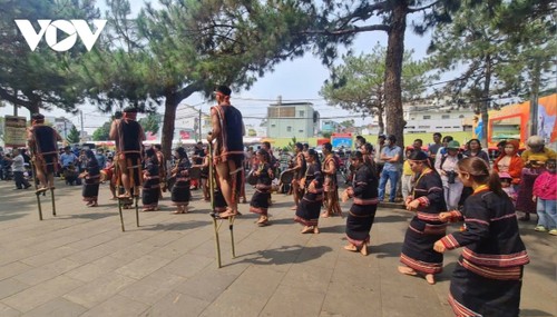 “Essence of highlands - convergence of blue sea” festival in Quy Nhon city - ảnh 1