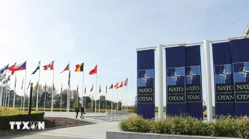 Poland approves deployment of NATO forces on its territory  - ảnh 1