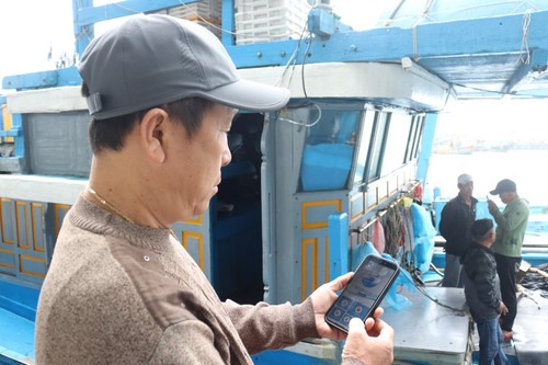 Smart technology applied to combat IUU fishing in Da Nang - ảnh 1