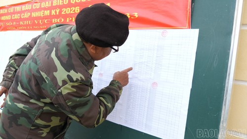 Border areas ready for election day - ảnh 1