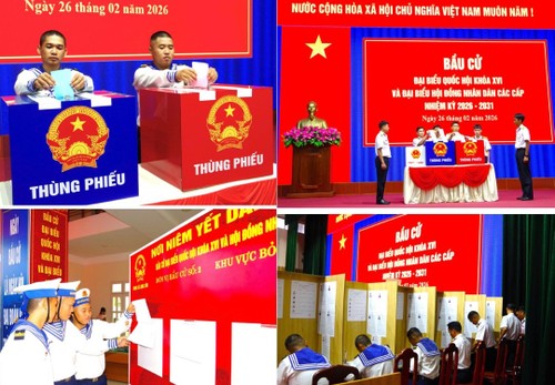Naval Region 2 organizes early voting - ảnh 1