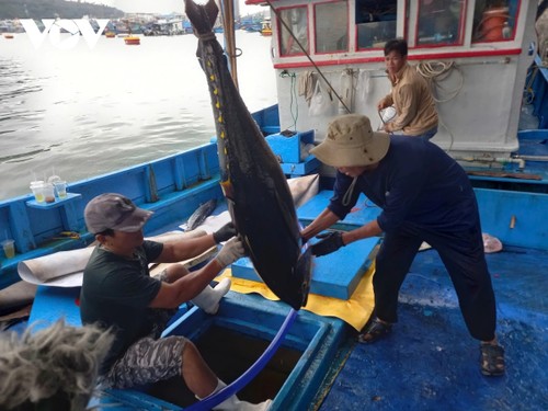 Truong Sa fishermen reap early-year gains  - ảnh 1