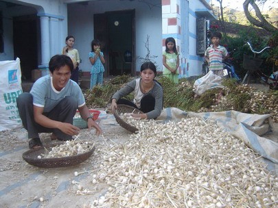 แพ็คเกจทัวร์เกาะLý Sơn จังหวัดQuảng Ngãi - ảnh 3