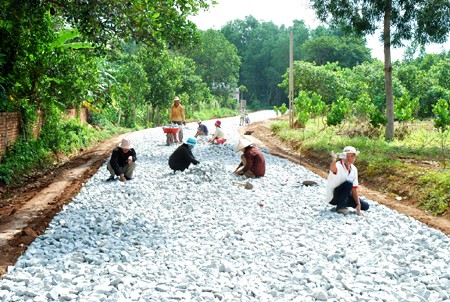 การประชาสัมพันธ์เกี่ยวกับการพัฒนาชนบทใหม่ที่จังหวัดNinh Binh - ảnh 1