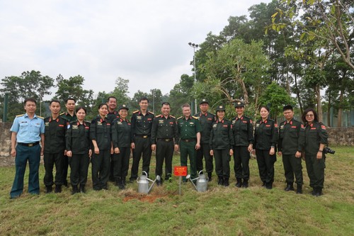 Vietnam ramps up peacekeeping efforts with inter-ministry collaboration - ảnh 3