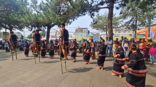 Festival of Gia Lai’s forest and sea to open on Aug. 29 - ảnh 1