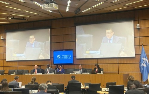 Vietnam reaffirms strong support for nuclear test ban treaty - ảnh 2