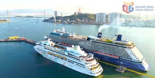 Quang Ninh to welcome thousands of cruise ship tourists during Tet - ảnh 1