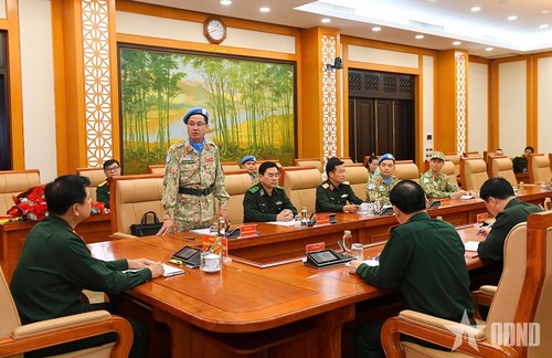 Vietnam takes on first UN-appointed role at Abyei mission - ảnh 2