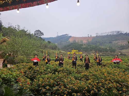 อุทยานธรณีหล่างเซินได้รับการรับรองเป็นอุทยานธรณีโลกของยูเนสโก - ảnh 11