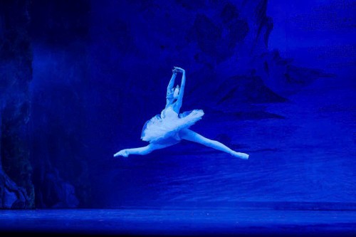 «Лебединое озеро» и русская культура во Вьетнаме - ảnh 5