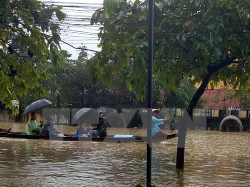 Nga, Nhật Bản hỗ trợ Việt Nam khắc phục hậu quả bão Damrey - ảnh 1