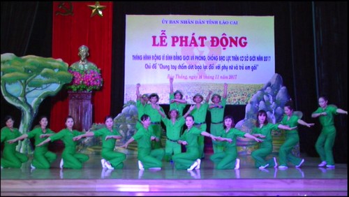 Tháng hành động vì bình đẳng giới và phòng, chống bạo lực năm 2017 - ảnh 1