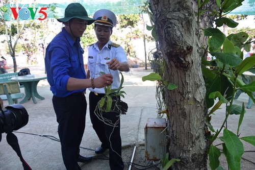 Phan Thanh Sang- Thanh niên tiêu biểu ươm mầm xanh biển đảo quê hương - ảnh 1