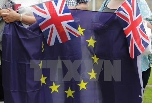 Brexit ngày càng phức tạp - ảnh 1