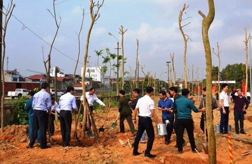 Các địa phương trên cả nước ra quân trồng cây đầu xuân Kỷ Hợi    - ảnh 1