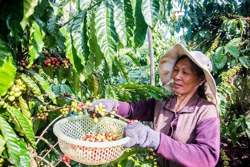 Báo chí Trung Quốc: EVFTA mang lại cho Việt Nam cơ hội lớn - ảnh 1