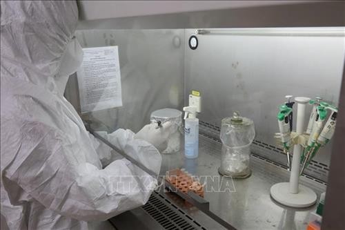 Thêm một bệnh viện được xét nghiệm sàng lọc và khẳng định SARS-CoV-2 - ảnh 1