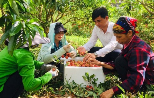 Đẩy mạnh tiêu thụ nông sản tại thị trường nội địa - ảnh 1