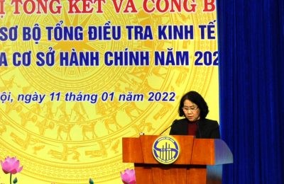 Công bố kết quả sơ bộ tổng điều tra kinh tế và cơ sở hành chính năm 2021 - ảnh 1