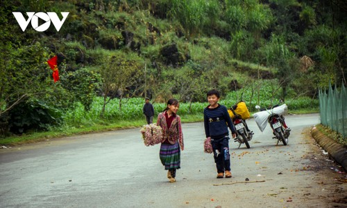 Hà Giang- mùa hoa tam giác mạch - ảnh 5