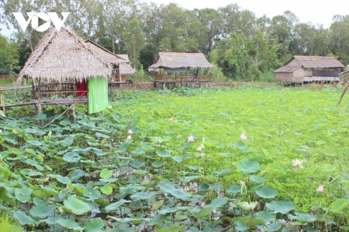 Lần đầu tiên tổ chức Lễ hội tôn vinh Sen Đồng Tháp - ảnh 1