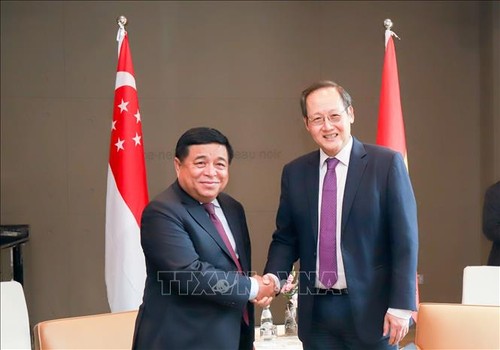Hội nghị cấp Bộ trưởng về kết nối kinh tế Việt Nam-Singapore lần thứ 16 - ảnh 1