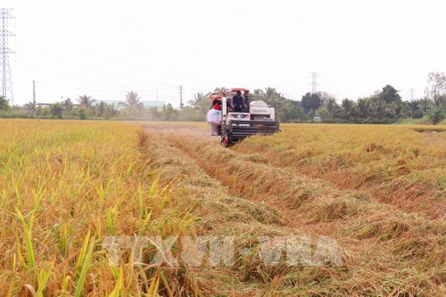 Hội nghị toàn cầu Hệ thống lương thực thực phẩm lần thứ 4 - ảnh 1