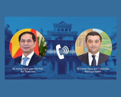 Bộ trưởng Ngoại giao Bùi Thanh Sơn điện đàm với Bộ trưởng Ngoại giao Uzbekistan - ảnh 1